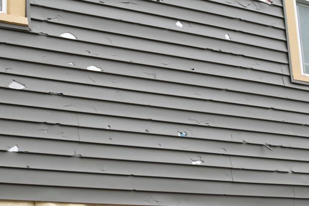 Affordable Siding Repair and Maintenance Services in San Mateo, CA